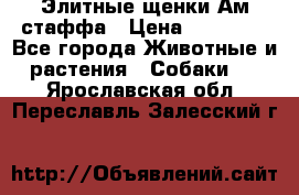 Элитные щенки Ам.стаффа › Цена ­ 25 000 - Все города Животные и растения » Собаки   . Ярославская обл.,Переславль-Залесский г.